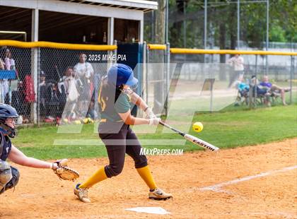 Thumbnail 1 in Pine Forest @ Terry Sanford photogallery.