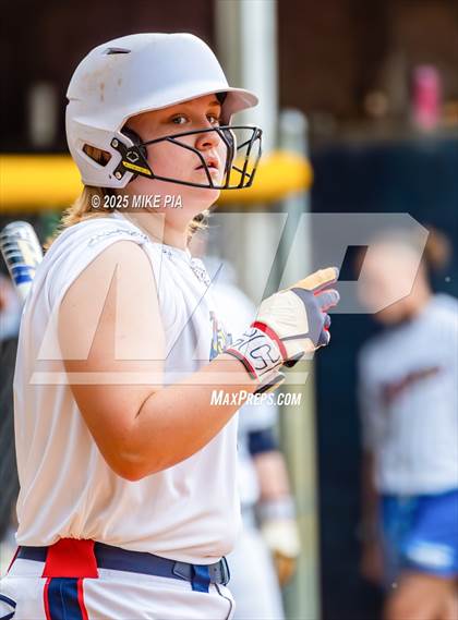 Thumbnail 3 in Pine Forest @ Terry Sanford photogallery.
