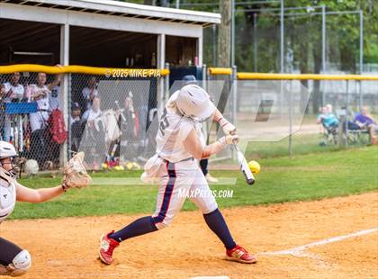 Thumbnail 2 in Pine Forest @ Terry Sanford photogallery.