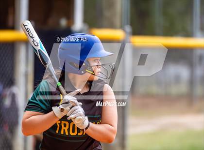 Thumbnail 3 in Pine Forest @ Terry Sanford photogallery.
