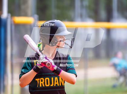 Thumbnail 1 in Pine Forest @ Terry Sanford photogallery.