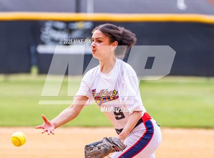 Thumbnail 3 in Pine Forest @ Terry Sanford photogallery.