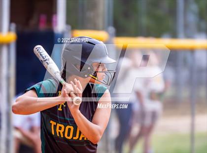 Thumbnail 3 in Pine Forest @ Terry Sanford photogallery.