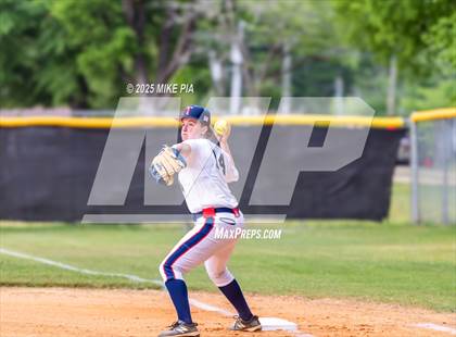 Thumbnail 1 in Pine Forest @ Terry Sanford photogallery.