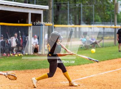 Thumbnail 2 in Pine Forest @ Terry Sanford photogallery.