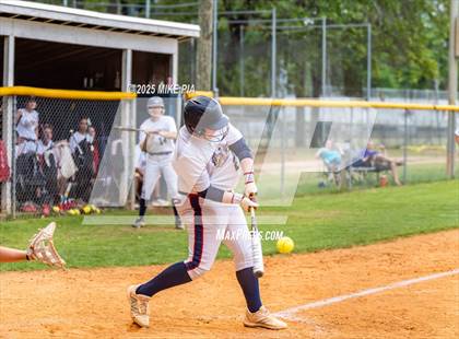 Thumbnail 1 in Pine Forest @ Terry Sanford photogallery.