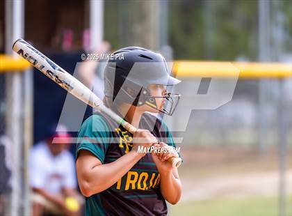 Thumbnail 3 in Pine Forest @ Terry Sanford photogallery.