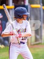 Photo from the gallery "Pine Forest @ Terry Sanford"