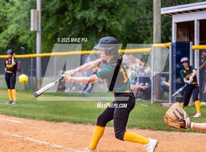 Thumbnail 2 in Pine Forest @ Terry Sanford photogallery.