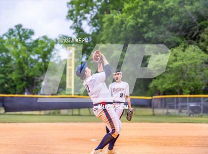 Thumbnail 1 in Pine Forest @ Terry Sanford photogallery.
