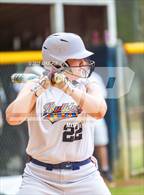 Photo from the gallery "Pine Forest @ Terry Sanford"