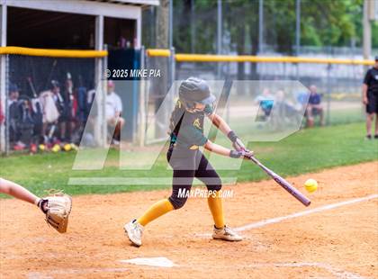 Thumbnail 1 in Pine Forest @ Terry Sanford photogallery.