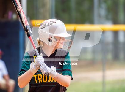 Thumbnail 3 in Pine Forest @ Terry Sanford photogallery.
