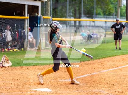 Thumbnail 2 in Pine Forest @ Terry Sanford photogallery.