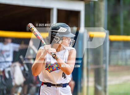 Thumbnail 1 in Pine Forest @ Terry Sanford photogallery.