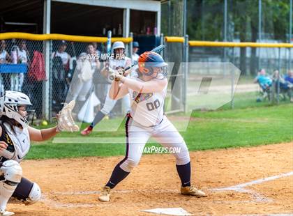 Thumbnail 2 in Pine Forest @ Terry Sanford photogallery.