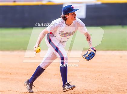 Thumbnail 3 in Pine Forest @ Terry Sanford photogallery.