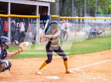 Thumbnail 1 in Pine Forest @ Terry Sanford photogallery.