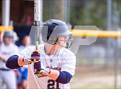 Photo from the gallery "Pine Forest @ Terry Sanford"