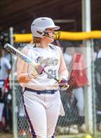 Photo from the gallery "Pine Forest @ Terry Sanford"