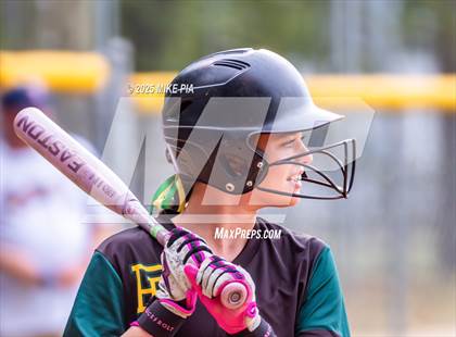 Thumbnail 3 in Pine Forest @ Terry Sanford photogallery.
