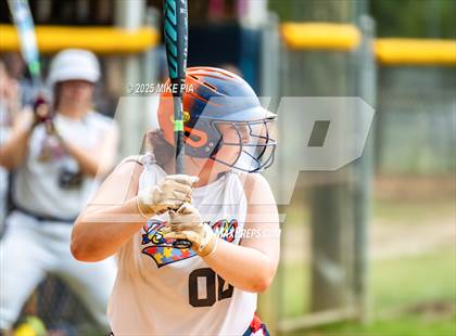 Thumbnail 1 in Pine Forest @ Terry Sanford photogallery.