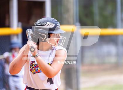 Thumbnail 2 in Pine Forest @ Terry Sanford photogallery.