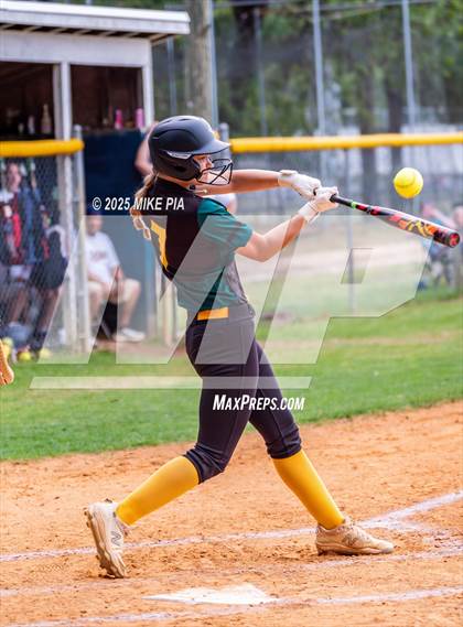 Thumbnail 3 in Pine Forest @ Terry Sanford photogallery.