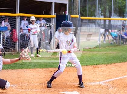 Thumbnail 1 in Pine Forest @ Terry Sanford photogallery.