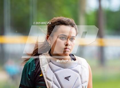 Thumbnail 1 in Pine Forest @ Terry Sanford photogallery.