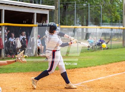 Thumbnail 2 in Pine Forest @ Terry Sanford photogallery.