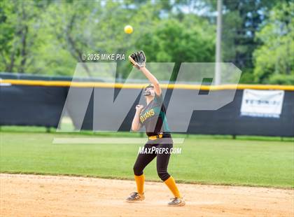 Thumbnail 2 in Pine Forest @ Terry Sanford photogallery.