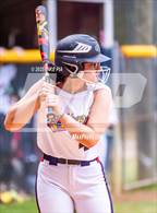 Photo from the gallery "Pine Forest @ Terry Sanford"