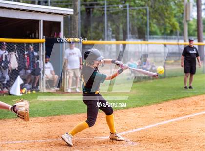 Thumbnail 2 in Pine Forest @ Terry Sanford photogallery.