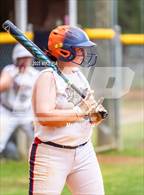 Photo from the gallery "Pine Forest @ Terry Sanford"
