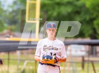 Thumbnail 2 in Pine Forest @ Terry Sanford photogallery.