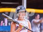 Photo from the gallery "Pine Forest @ Terry Sanford"
