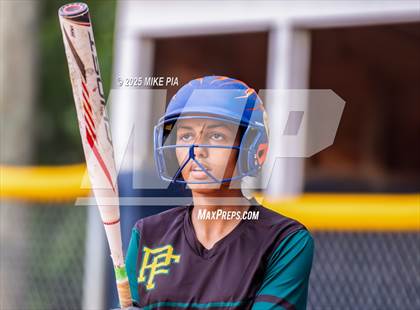 Thumbnail 1 in Pine Forest @ Terry Sanford photogallery.