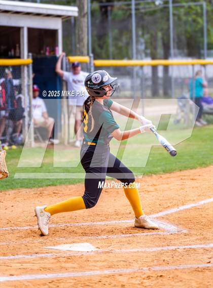 Thumbnail 2 in Pine Forest @ Terry Sanford photogallery.