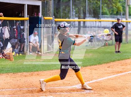 Thumbnail 1 in Pine Forest @ Terry Sanford photogallery.