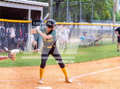 Thumbnail 2 in Pine Forest @ Terry Sanford photogallery.