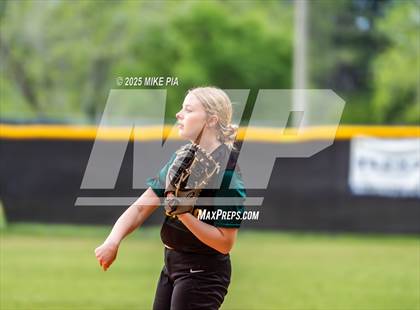 Thumbnail 3 in Pine Forest @ Terry Sanford photogallery.