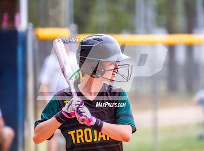 Thumbnail 1 in Pine Forest @ Terry Sanford photogallery.