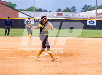Thumbnail 2 in Pine Forest @ Terry Sanford photogallery.