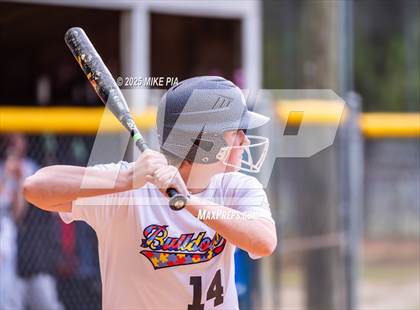 Thumbnail 2 in Pine Forest @ Terry Sanford photogallery.