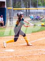 Photo from the gallery "Pine Forest @ Terry Sanford"