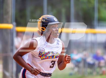 Thumbnail 3 in Pine Forest @ Terry Sanford photogallery.