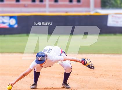 Thumbnail 2 in Pine Forest @ Terry Sanford photogallery.