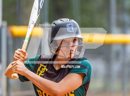 Thumbnail 1 in Pine Forest @ Terry Sanford photogallery.