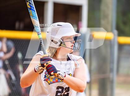 Thumbnail 1 in Pine Forest @ Terry Sanford photogallery.